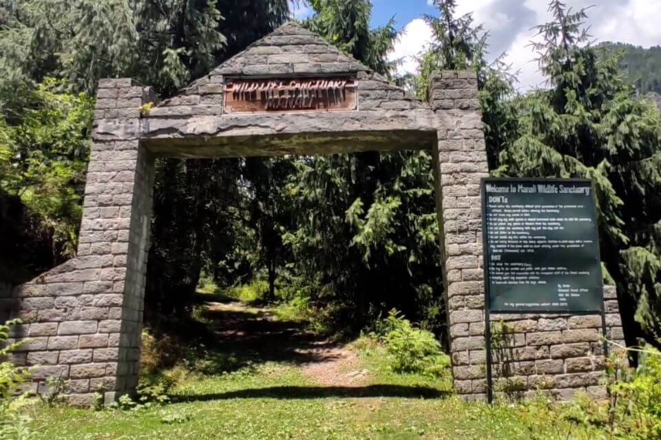 Manali Sanctuary — A Himalayan Wildlife Wonderland